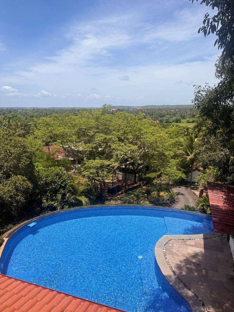 Capella Forest Retreat & Homestay-旅行者