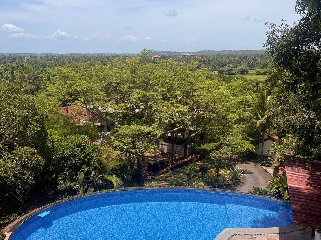 Capella Forest Retreat & Homestay主图