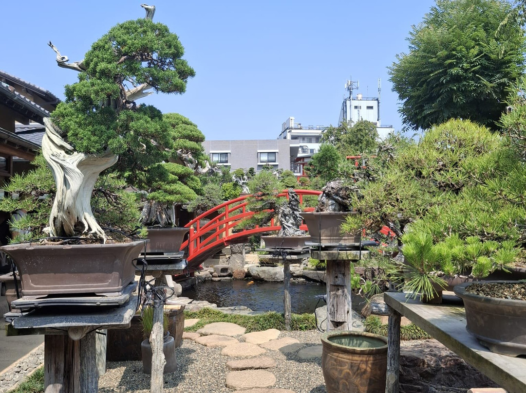 春花园 BONSAI 美术馆-江戸川区必去景点