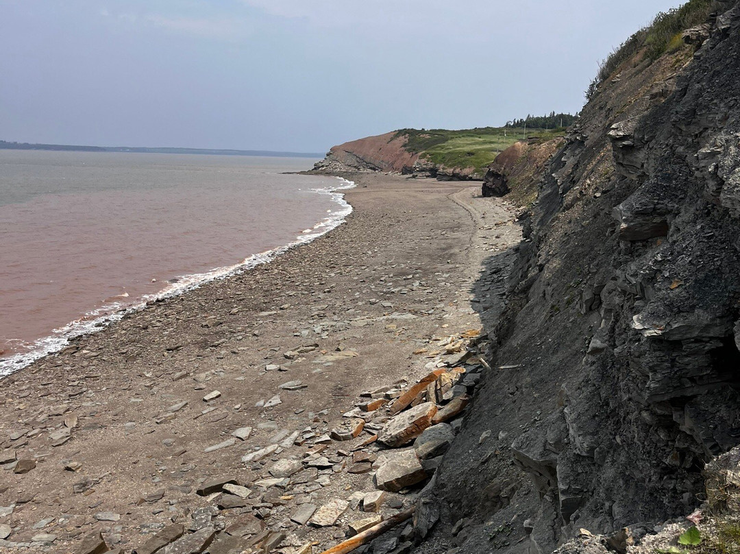 Joggins Fossil Cliffs And Centre-Joggins必去景点