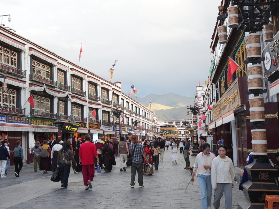 Xizang Vista-拉萨市必去景点