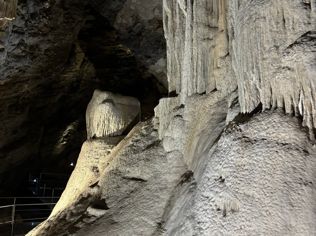 Wellington Caves & Phosphate Mine-Wellington必去景点
