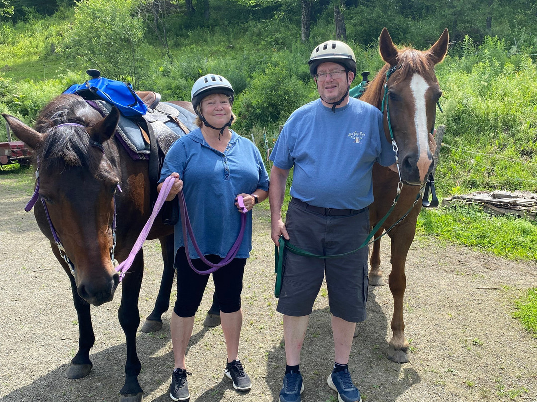 D-N-D Stables Guided Trail Rides-East Burke必去景点