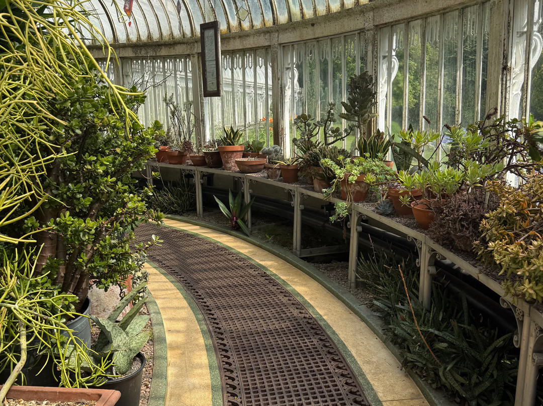 Botanic Gardens-贝尔法斯特必去景点