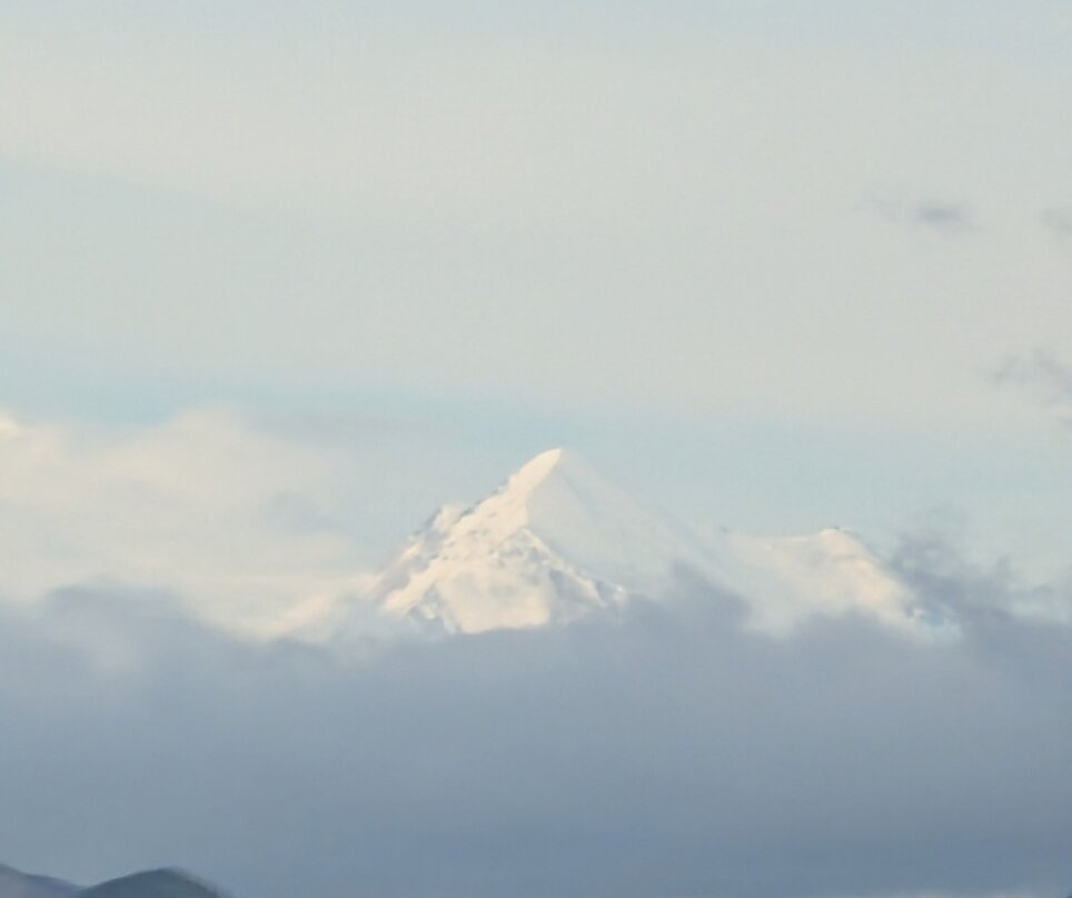 Tundra Wilderness Tour-Denali Park必去景点