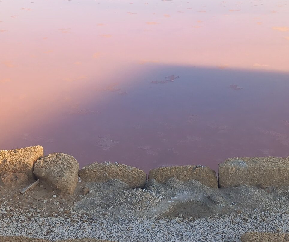 Riserva Naturale Saline Di Trapani E Paceco-特拉帕尼省必去景点