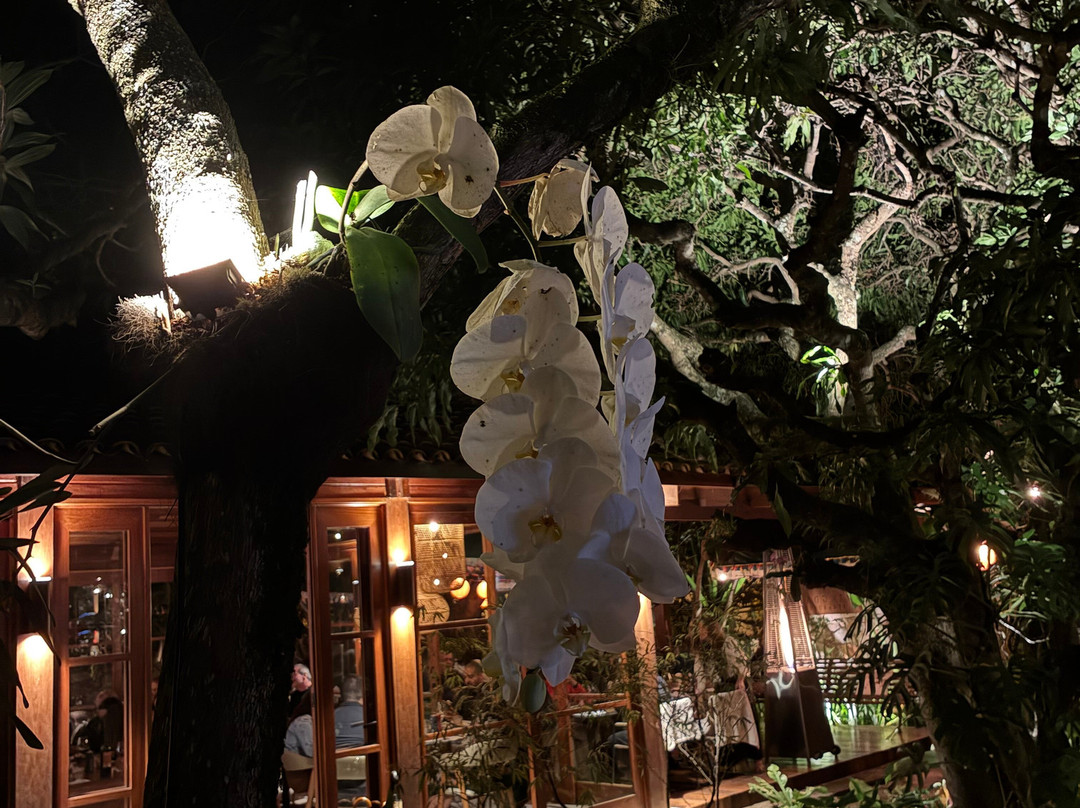 Refúgio na Serra Boutique Hotel主图
