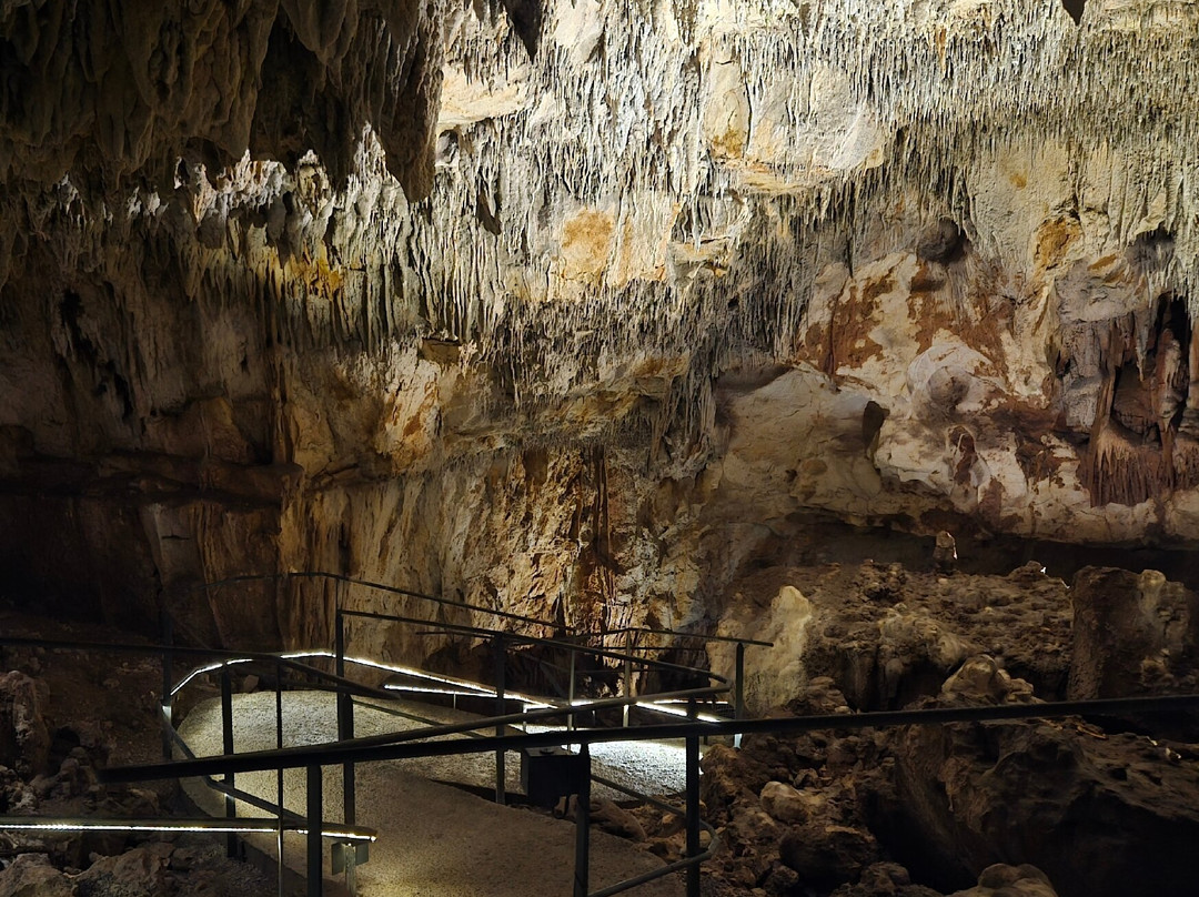 Prehisto Dino Parc-Lacave必去景点