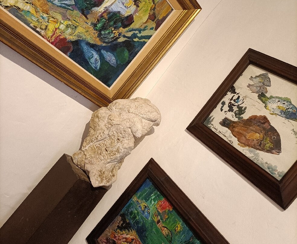 Museu Dionís Bennàssar-Pollenca必去景点
