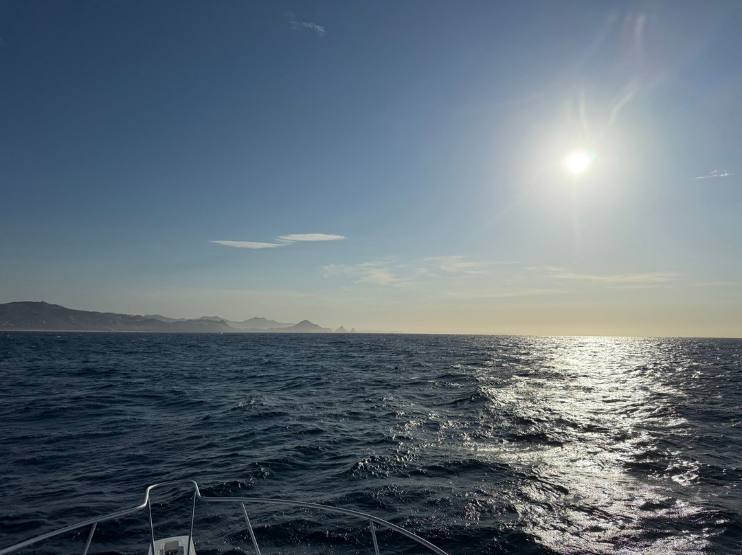 Blue Sky Cabo Fishing and Tours-卡波圣卢卡斯必去景点