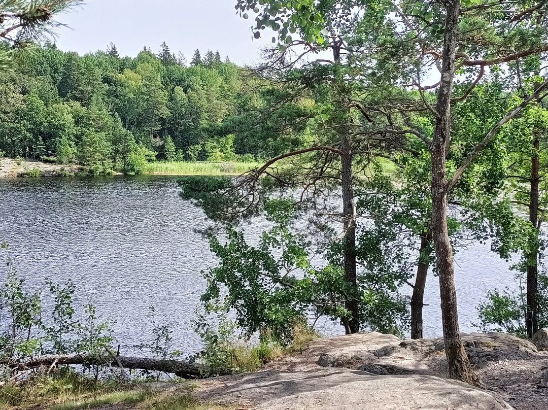 Hellasgården-斯德哥尔摩必去景点