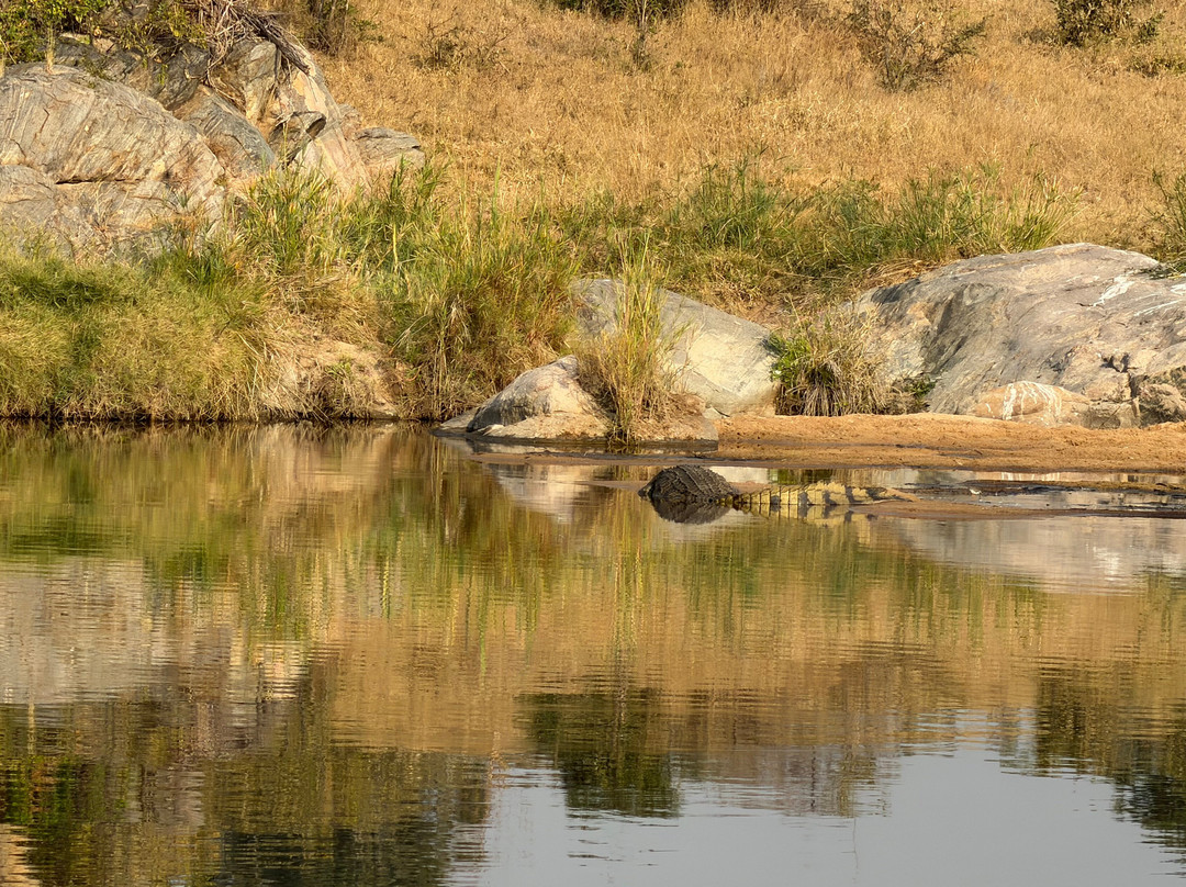 Kruger National Park Safari Specialists - Tours & Safaris-白河必去景点