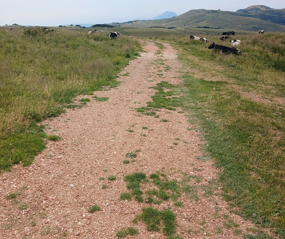 Parco Naturale Regionale della Lessinia-Bosco Chiesanuova必去景点