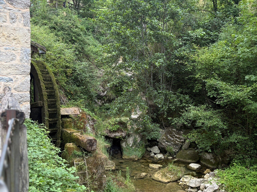 Grotte del Caglieron-Fregona必去景点
