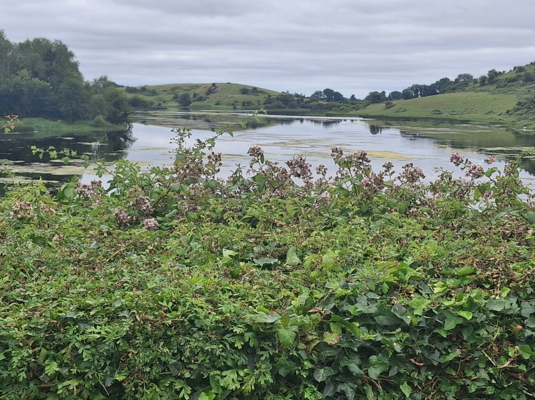 Lough Gur Visitor Centre-利默里克必去景点