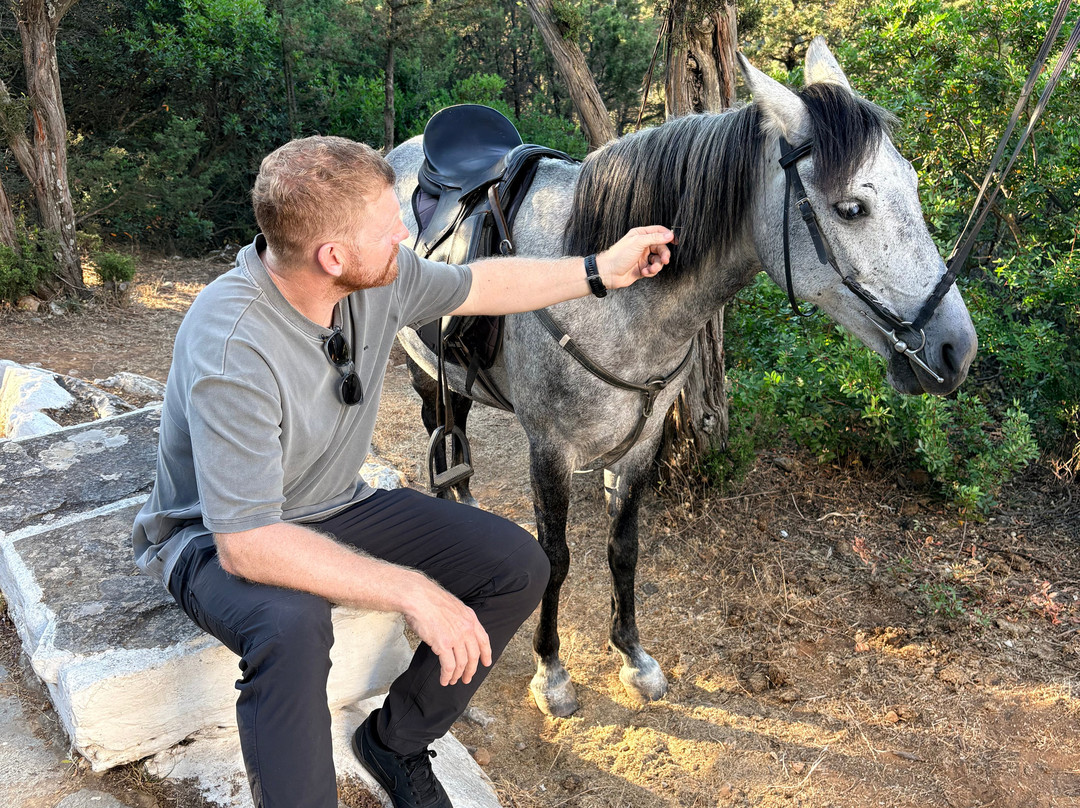 Sifnos Horseriding-锡弗诺斯岛必去景点