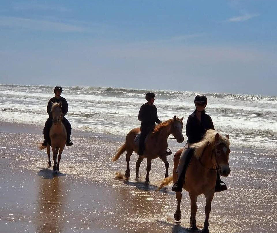 Au Coeur du Ranch: Chambres d'Hôtes dans le Médoc