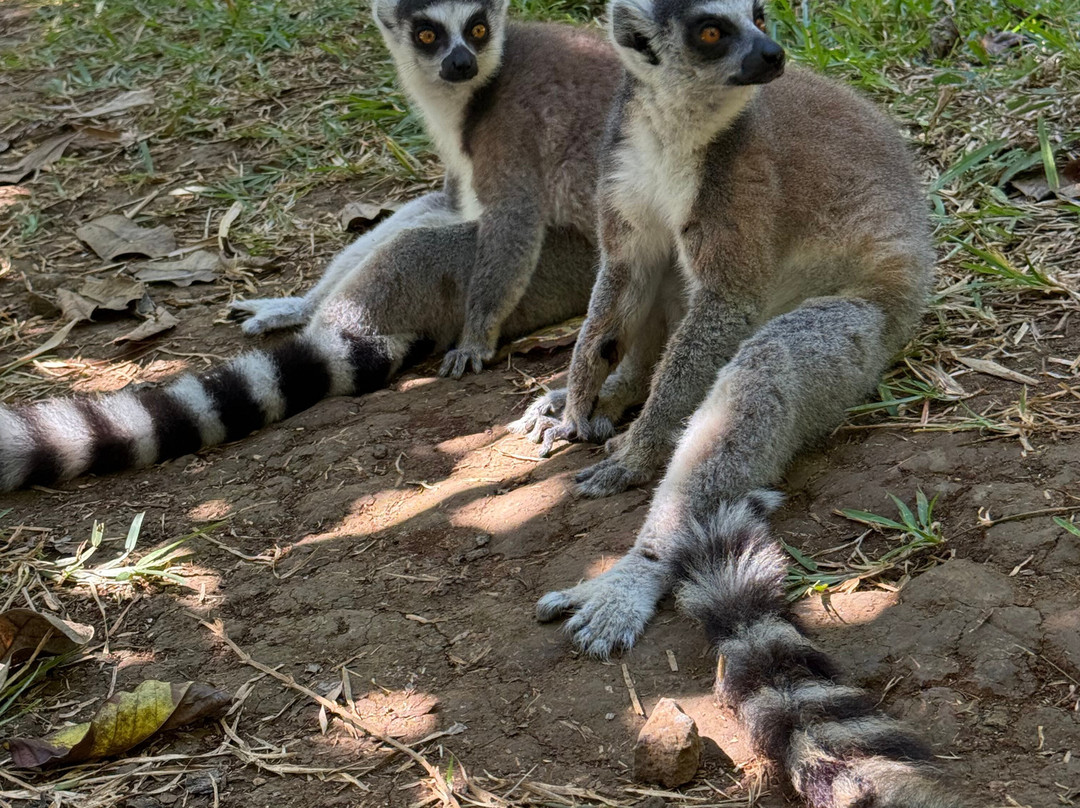 Soul of Madagascar Tours-Toamasina (Tamatave)必去景点