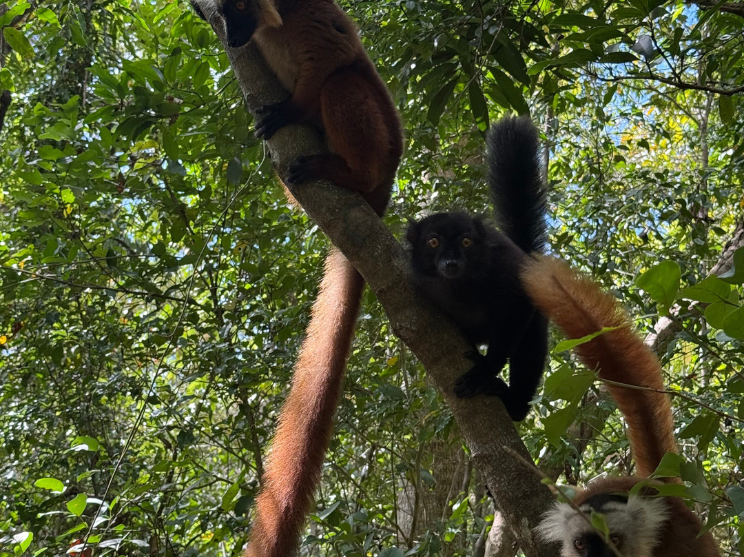 Soul of Madagascar Tours-Toamasina (Tamatave)必去景点