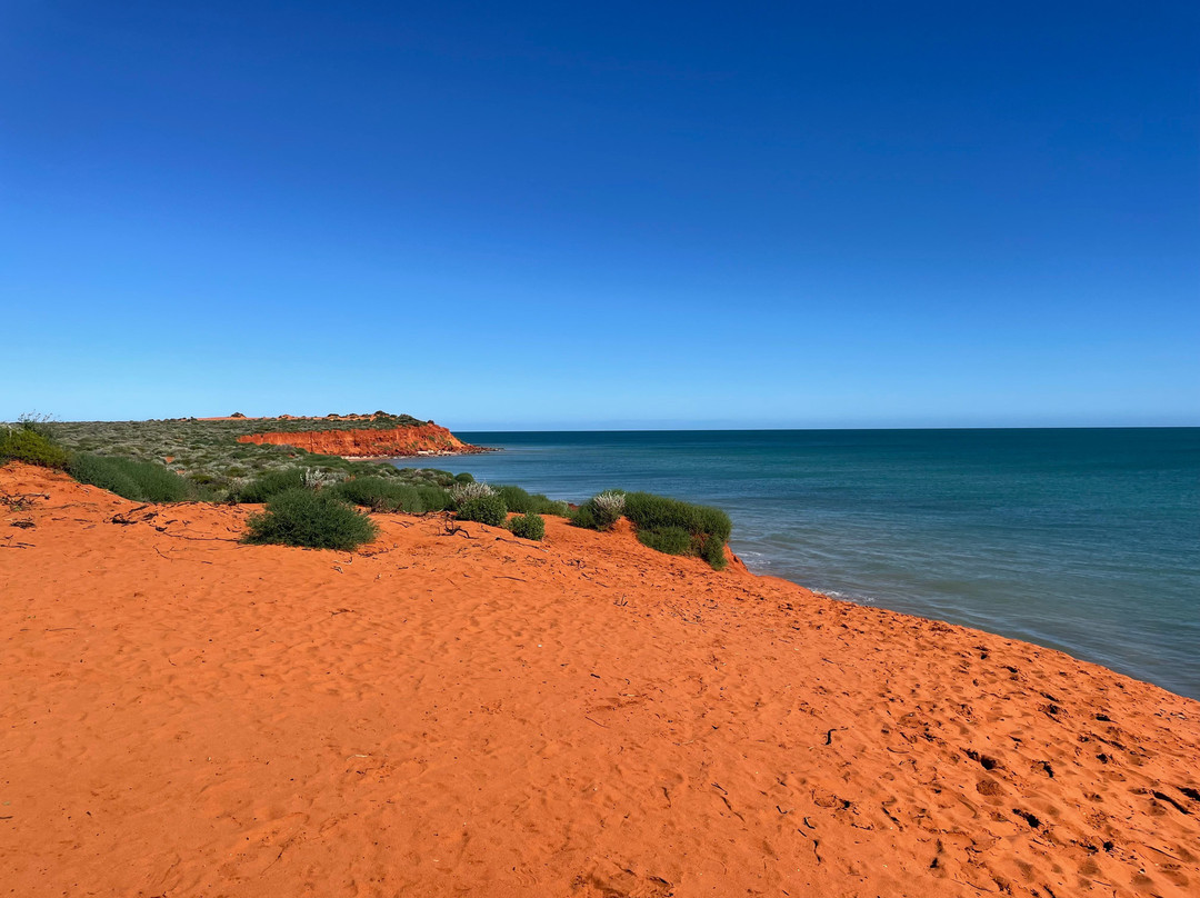 Shark Bay Coastal Tours-德纳姆必去景点