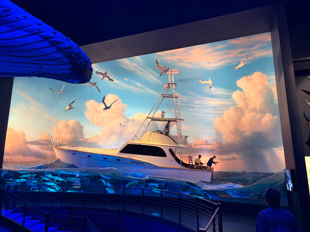 Johnny Morris' Wonders of Wildlife National Museum and Aquarium-斯普林菲尔德必去景点