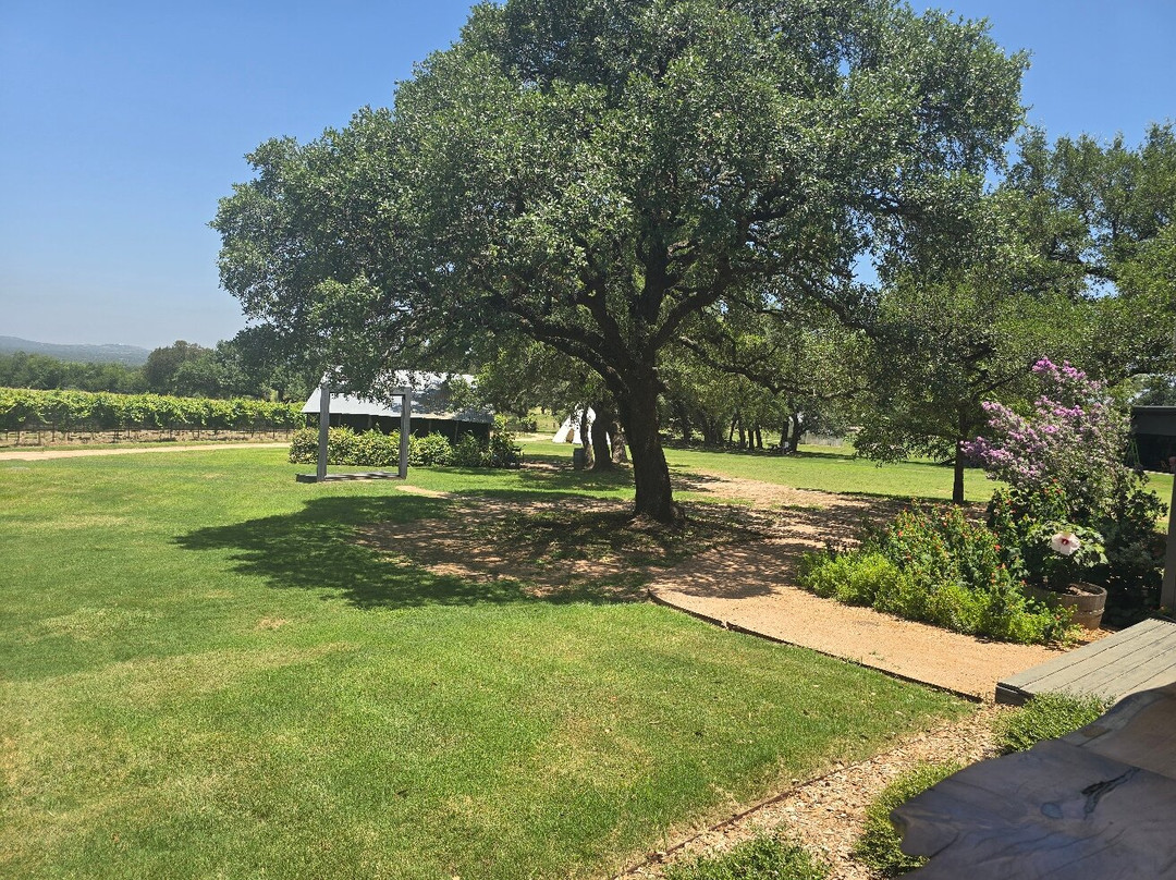 William Chris Vineyards-Hye必去景点