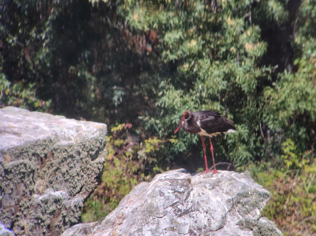 Monfrague Natural Ecoturismo-Malpartida de Plasencia必去景点
