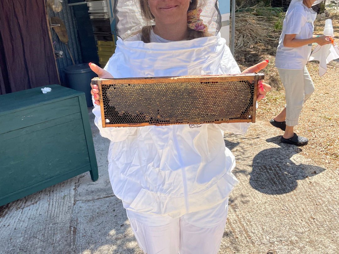 Dias Beekeeping-Svoronata必去景点