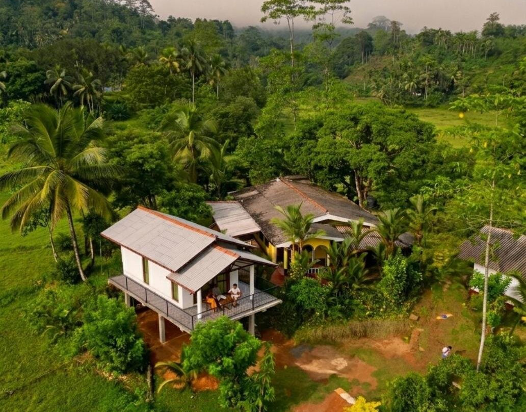 Rainforest Royal Heritage