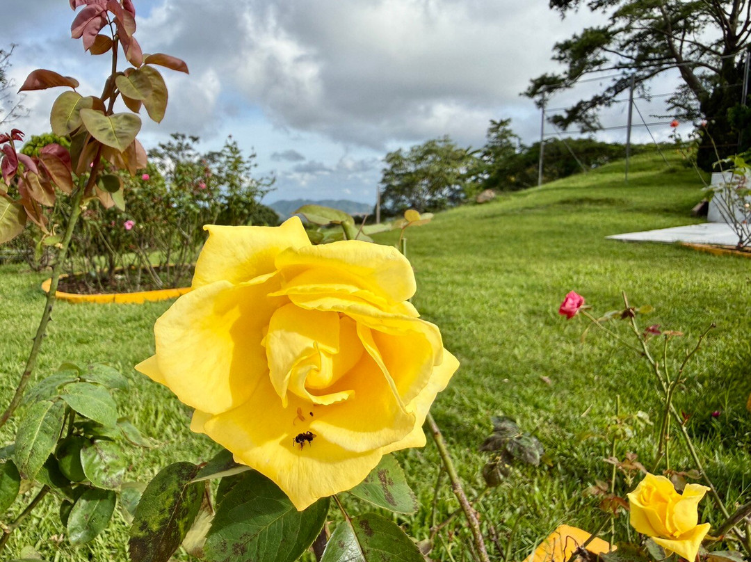 Khao Kho Sacrificial Monument-考柯县必去景点
