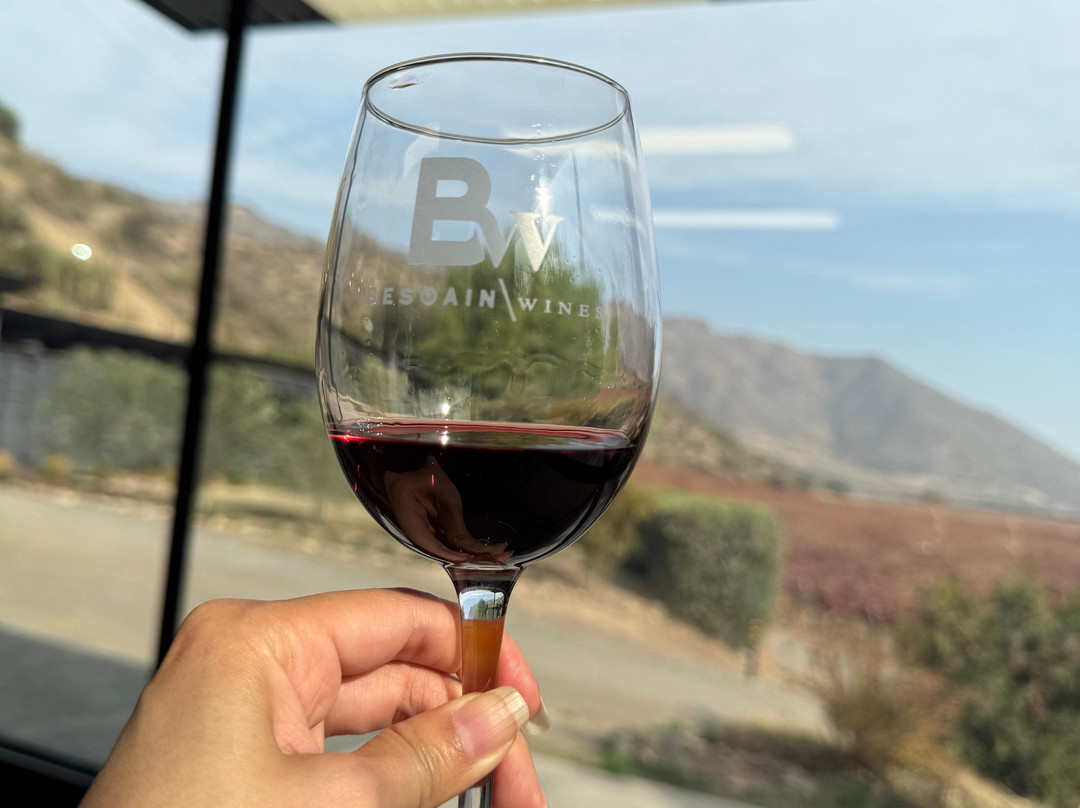 Besoain Wines-Pirque必去景点