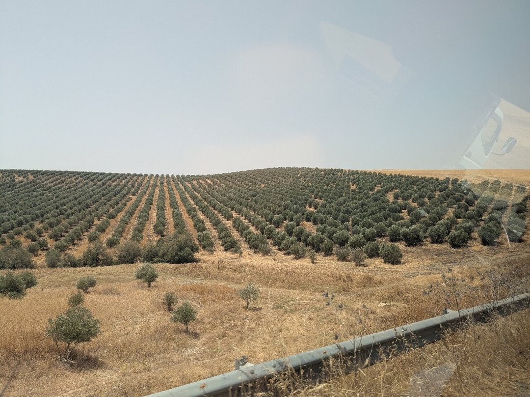 Fes Excursion Day Tours-非斯必去景点