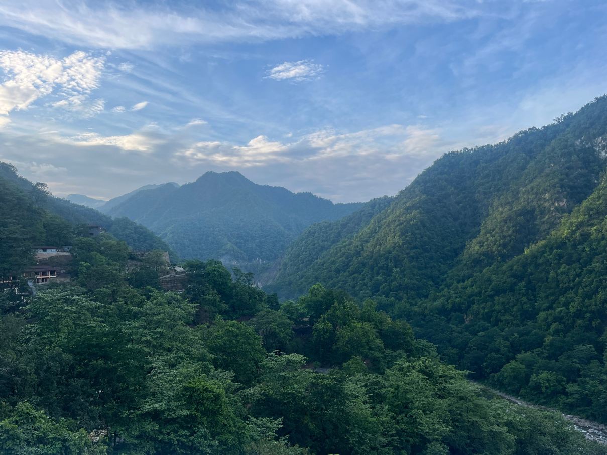 维达5-阿育吠陀瑜伽度假村-旅行者