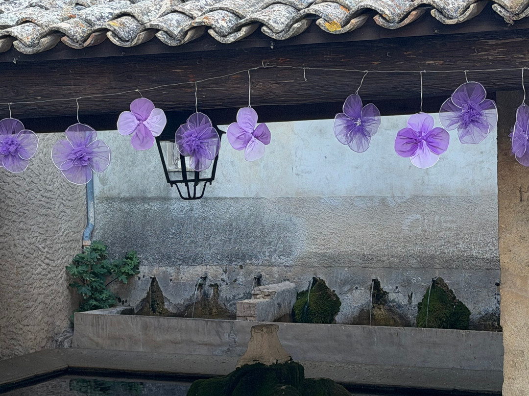 Madame Voyage En Provence-Rognes必去景点