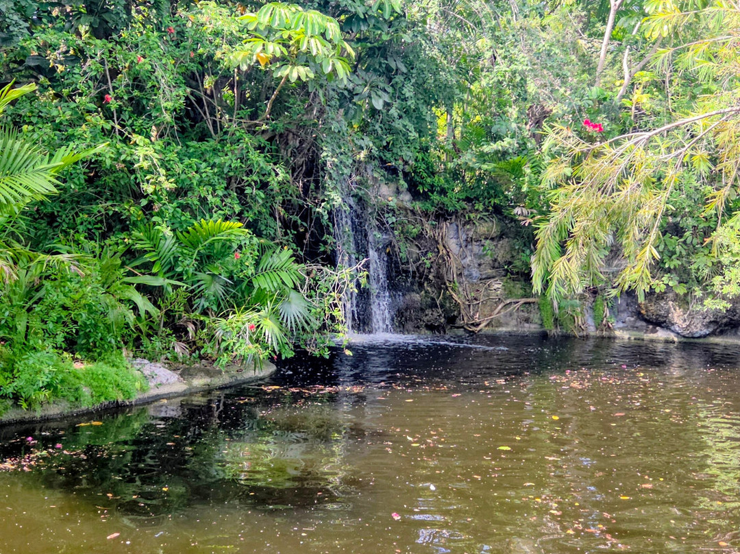 Garden of the Groves-弗里波特必去景点