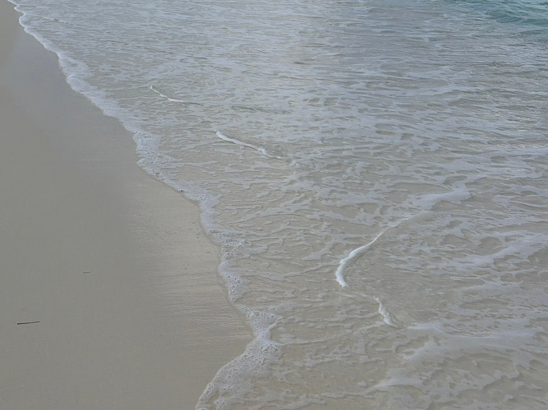 Bahia de las Aguilas-Pedernales必去景点