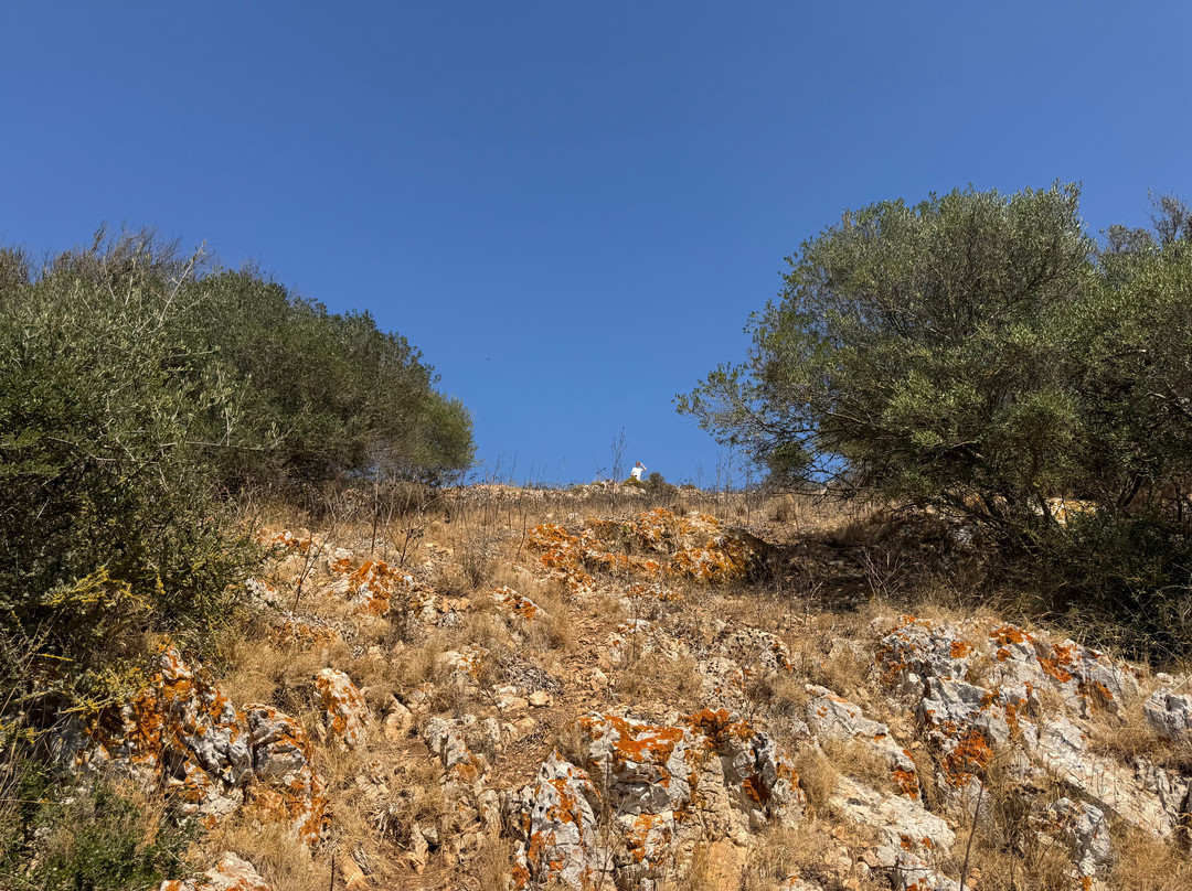 Castell de Santueri-Felanitx必去景点