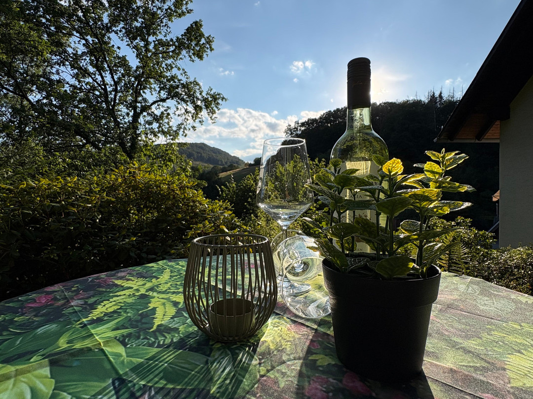 Hirschblick Apartments Willingen