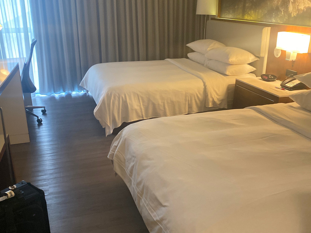 格林斯伯勒高点机场万豪酒店主图