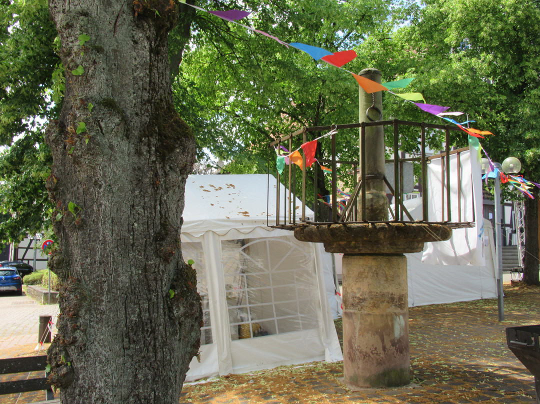Pranger mit Halseisen