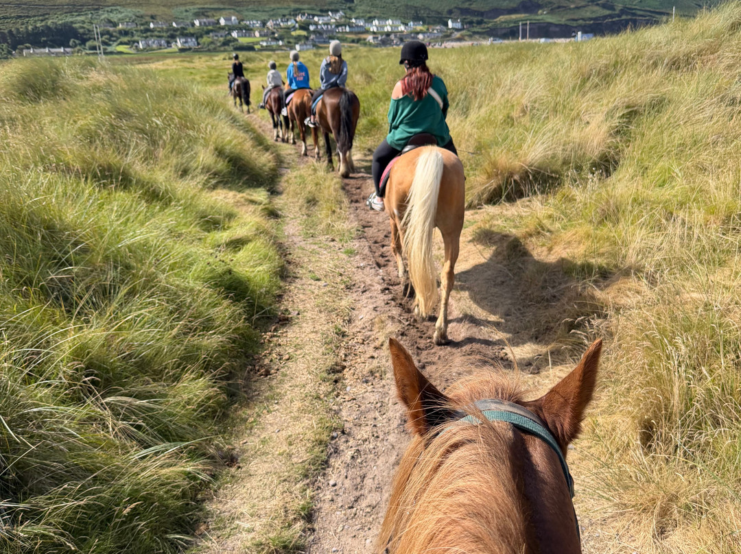 Rossbeigh Beach Horse Riding Centre-Glenbeigh必去景点