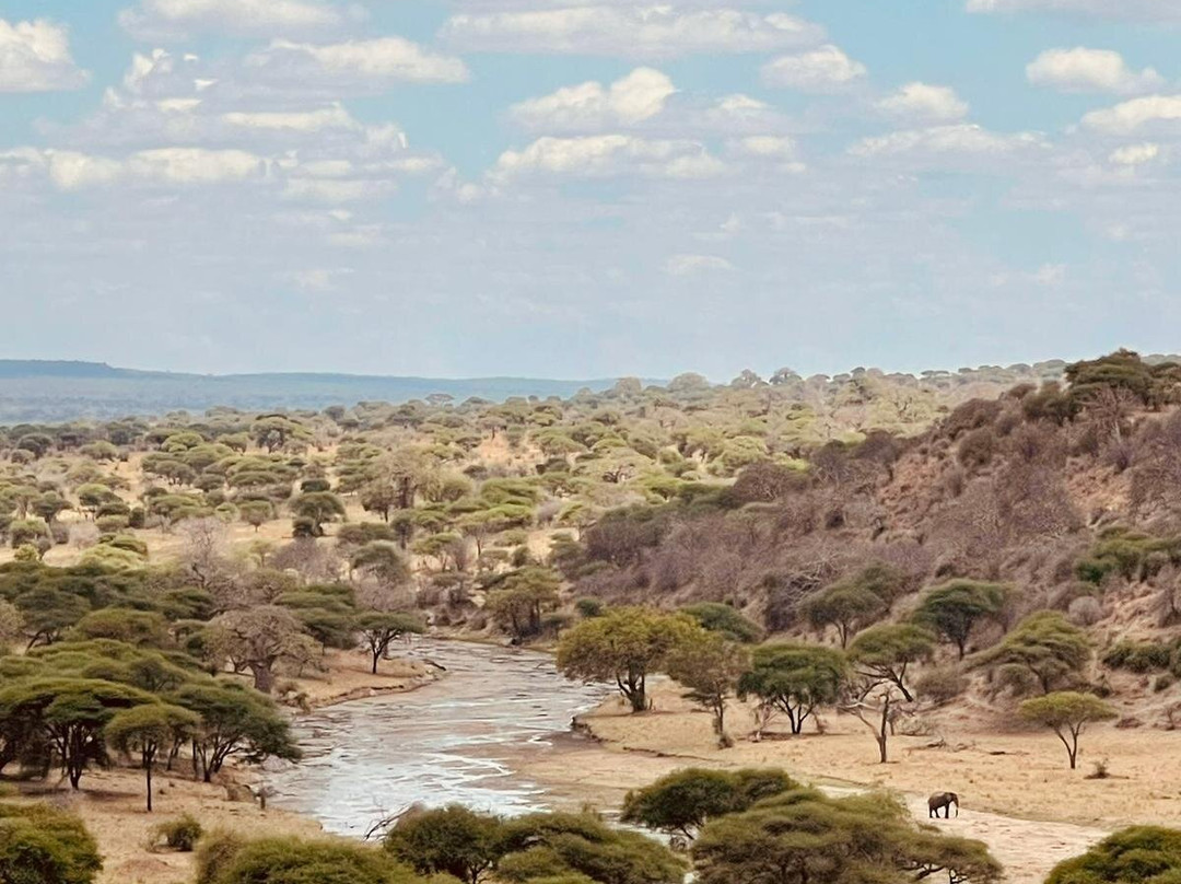 Nasikia Safaris-阿鲁沙必去景点