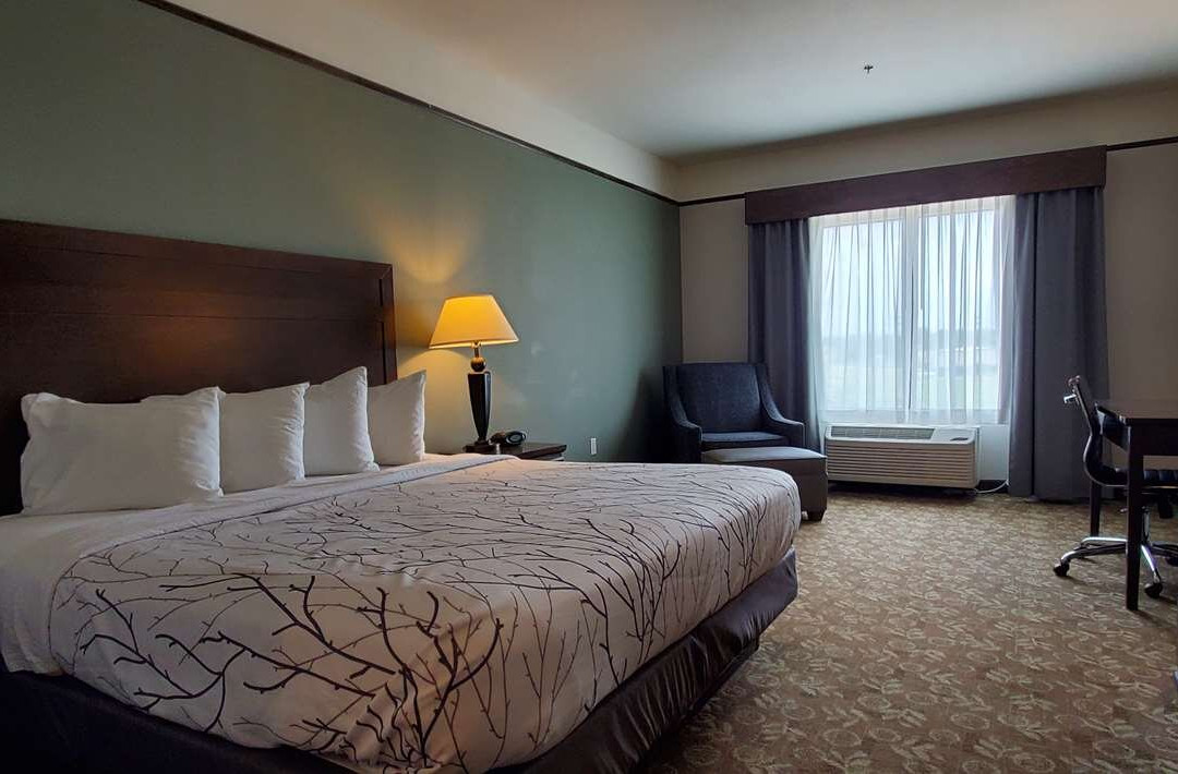 Alba酒店住宿-Best Western Plus Emory at Lake Fork Inn & Suites