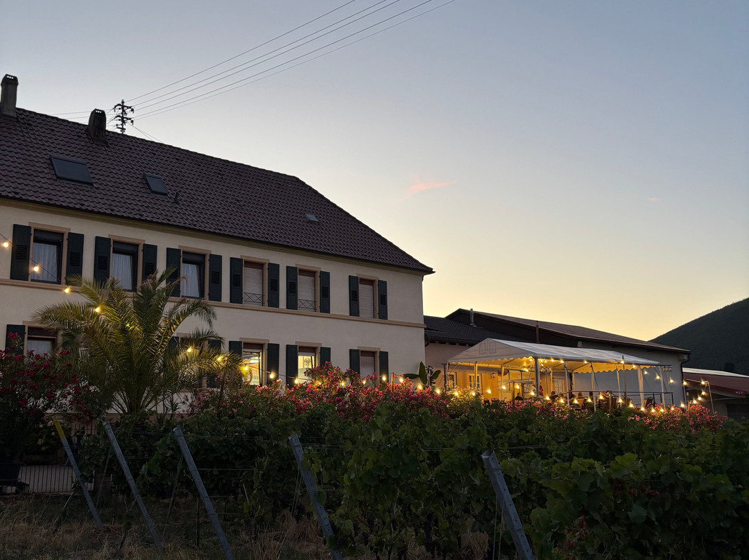 Wein Und Sektgut Wind-rabold-Burrweiler必去景点