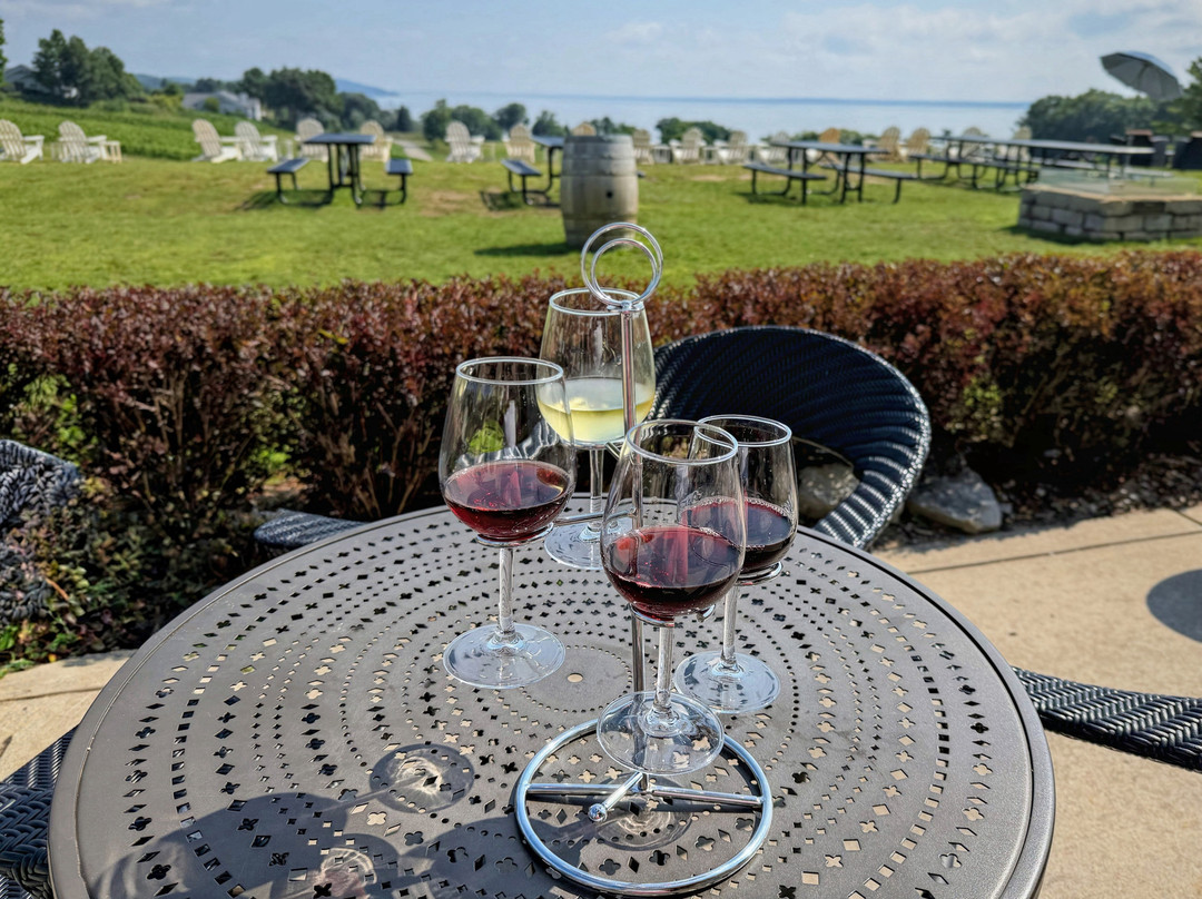 Mari Vineyards-特拉弗斯城必去景点