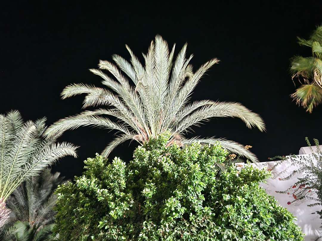 Seabel Rym Beach Djerba主图