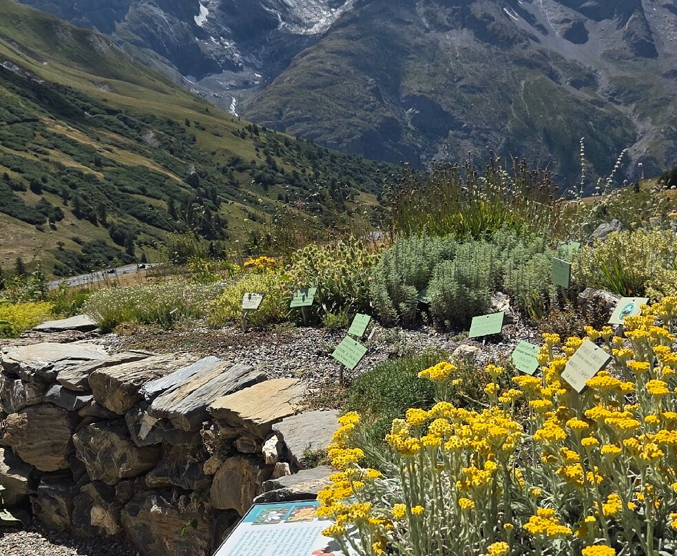 Jardin Botanique Alpin du Lautaret-Villar-d'Arene必去景点