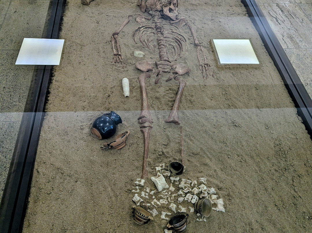 Sozopol Archeological Museum-索佐波尔必去景点