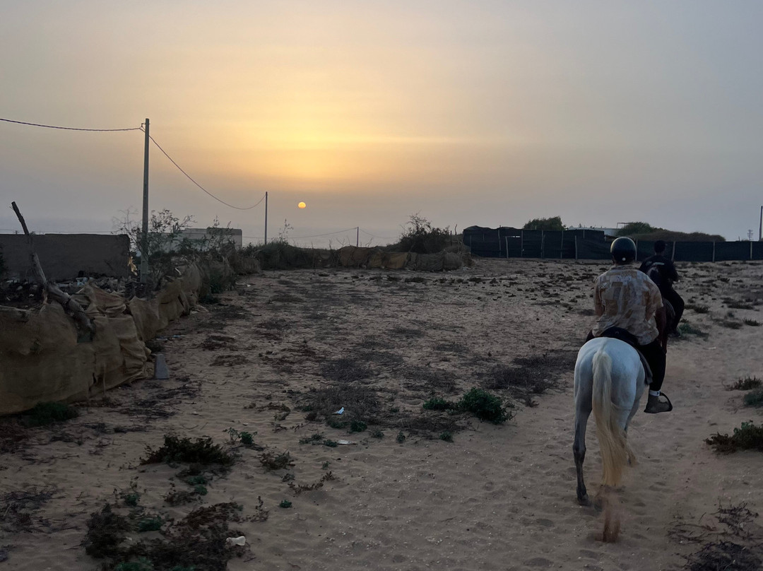 Cheval Agadir Ranch Acienda-奥瑞尔必去景点
