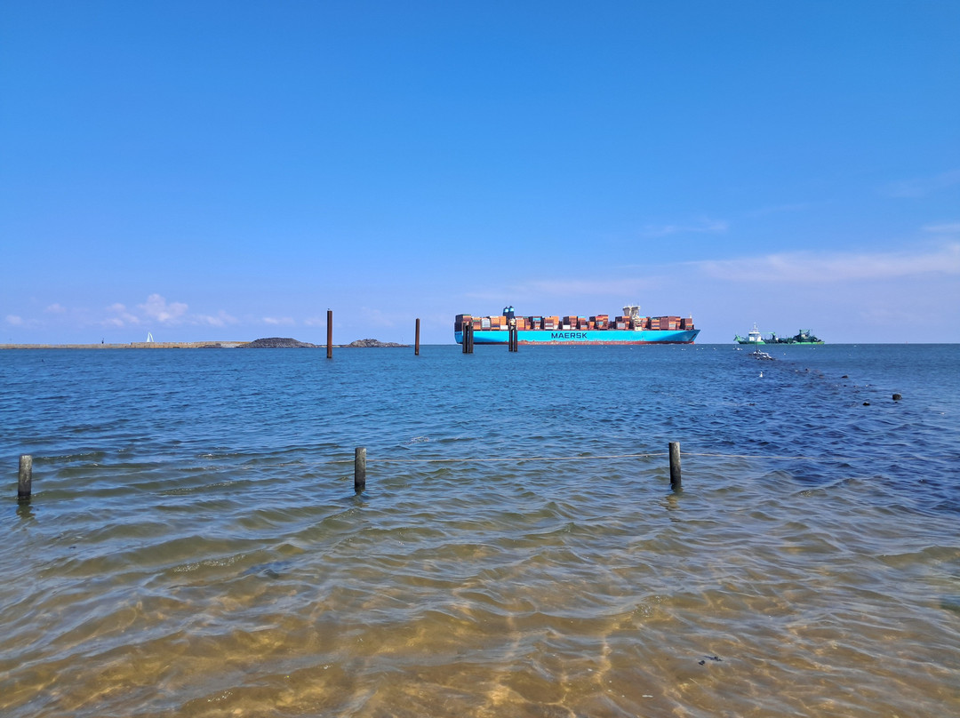 Strand Grimmershörn-库克斯港县必去景点